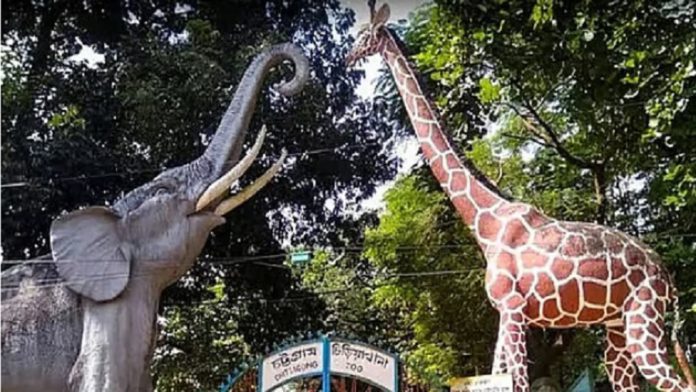 Ctg zoo ধসে, চিড়িয়াখানা, নির্মাণাধীন, দেয়াল