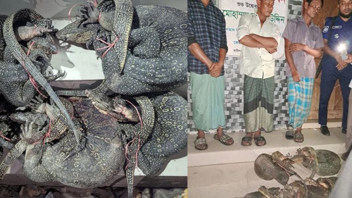 গুইসাপ