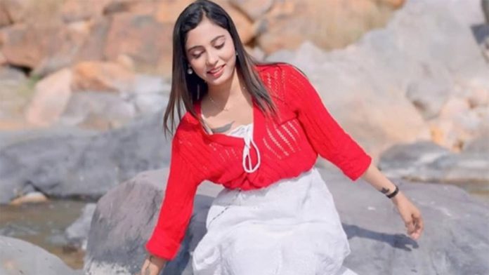 model মডেল