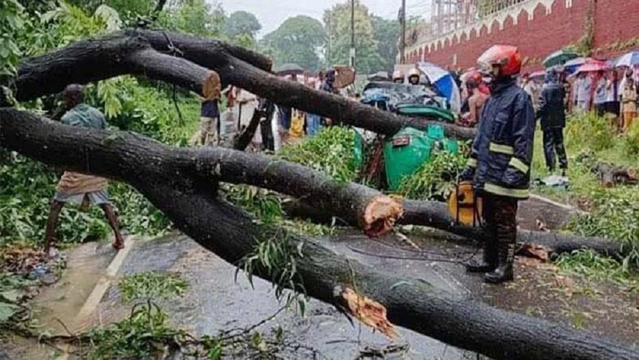 সিএনজি