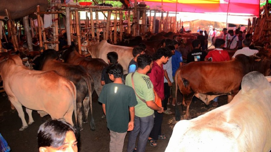 সাগরিকা