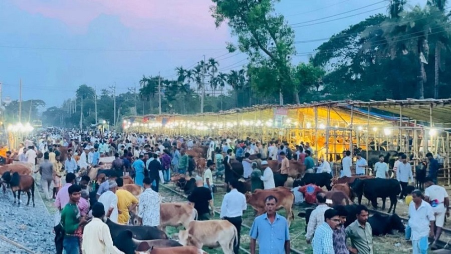 হাটহাজারী