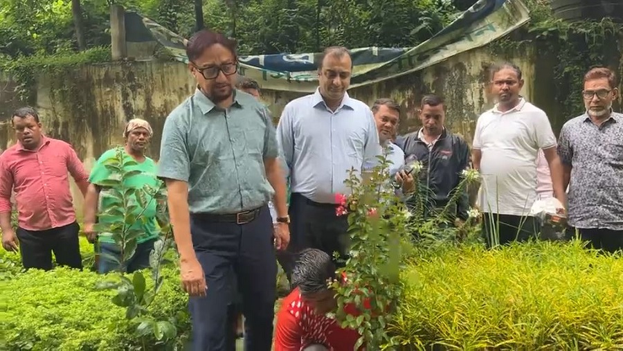 চসিক