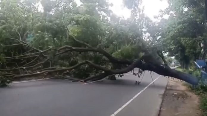 আসলাম