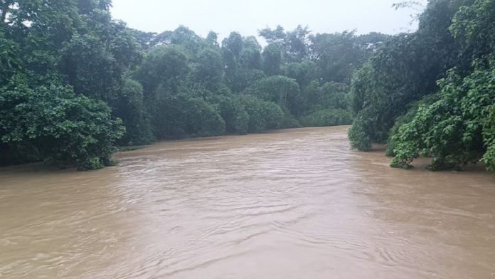 সাঙ্গু