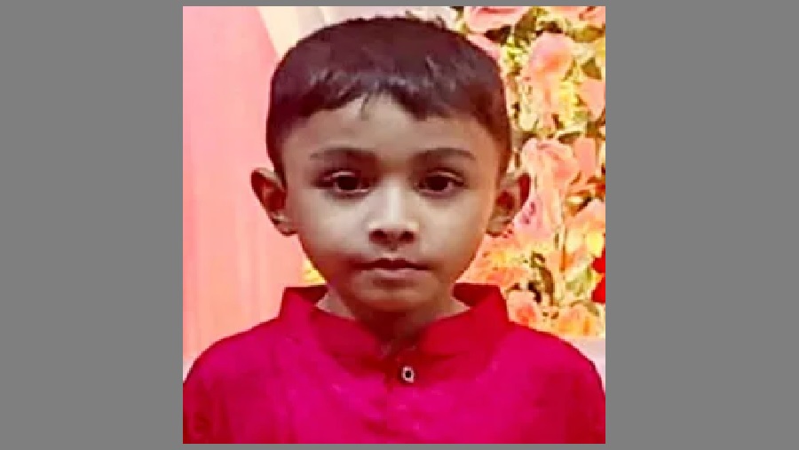 ভিমরুল
