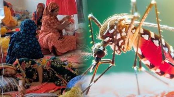 ডেঙ্গু