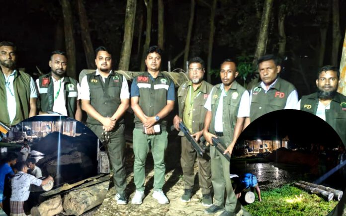 করাতকল ও বসতবাড়িতে পদুয়া বনবিভাগের উচ্ছেদ অভিযান, কাঠ জব্দ, বসতবাড়ি জবরদখল মুক্ত